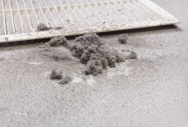 Best Professional Duct Cleaning Services  in Ashland, CA