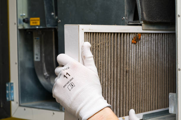 Best Ventilation Cleaning Services  in Ashland, CA